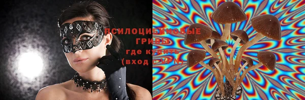 ECSTASY Баксан